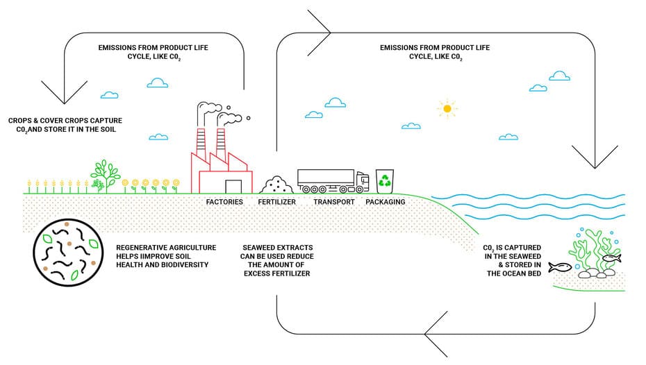 regenerering infographic