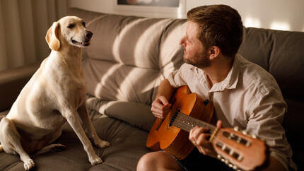 Hund som lyssnar på ägaren spelar gitarr