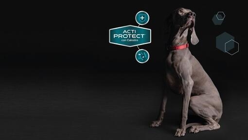 Purina® Pro Plan® Experthundfoder