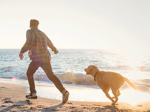 Man springer med Labrador på stranden