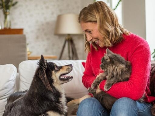 Kvinna och katt tittar på hund